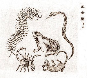 嶾